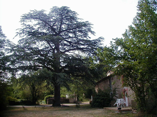 Location de chambres d'hotes et gîte originaux dans un ancien moulin à eau au pied de la montagne noire pour partager un endroit priviligié et la convivialité du pays