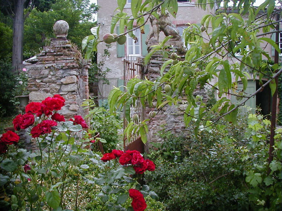 Location de chambres d'hotes et gîte originaux dans un ancien moulin à eau au pied de la montagne noire pour partager un endroit priviligié et la convivialité du pays